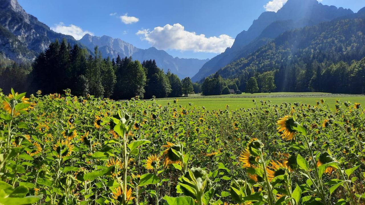 Apartamento House Godec - Ratece Planica Kranjska Gora Exterior foto